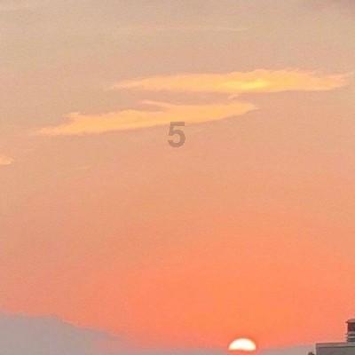 日产值7万余元 梁山县黑皮鸡枞菌破土成“金”